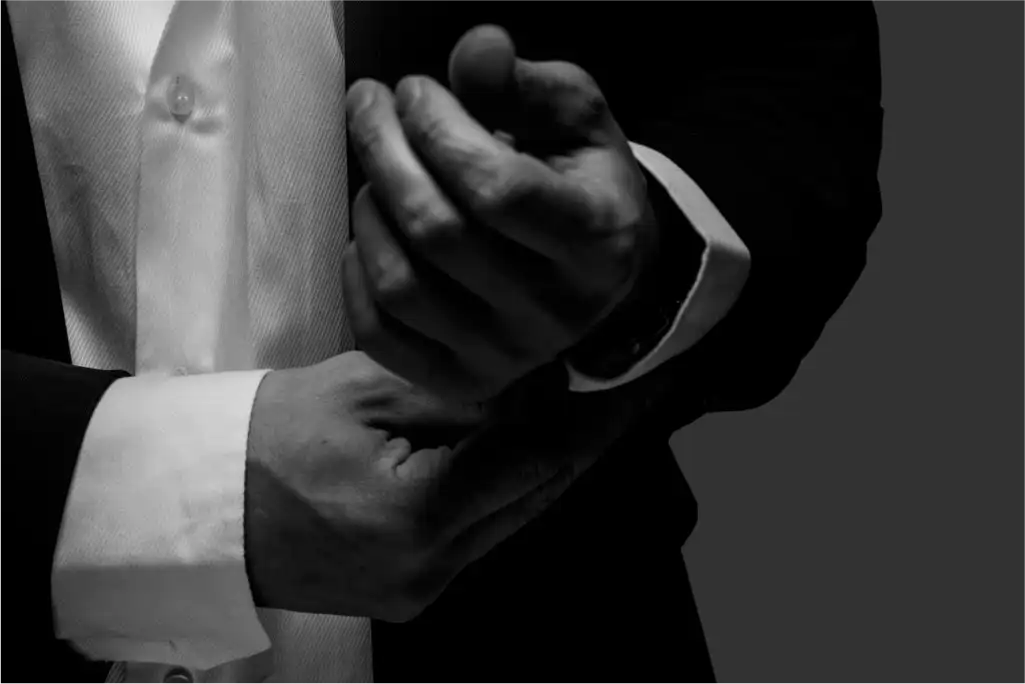 ebook-
             protocolo macho alfa estrategico